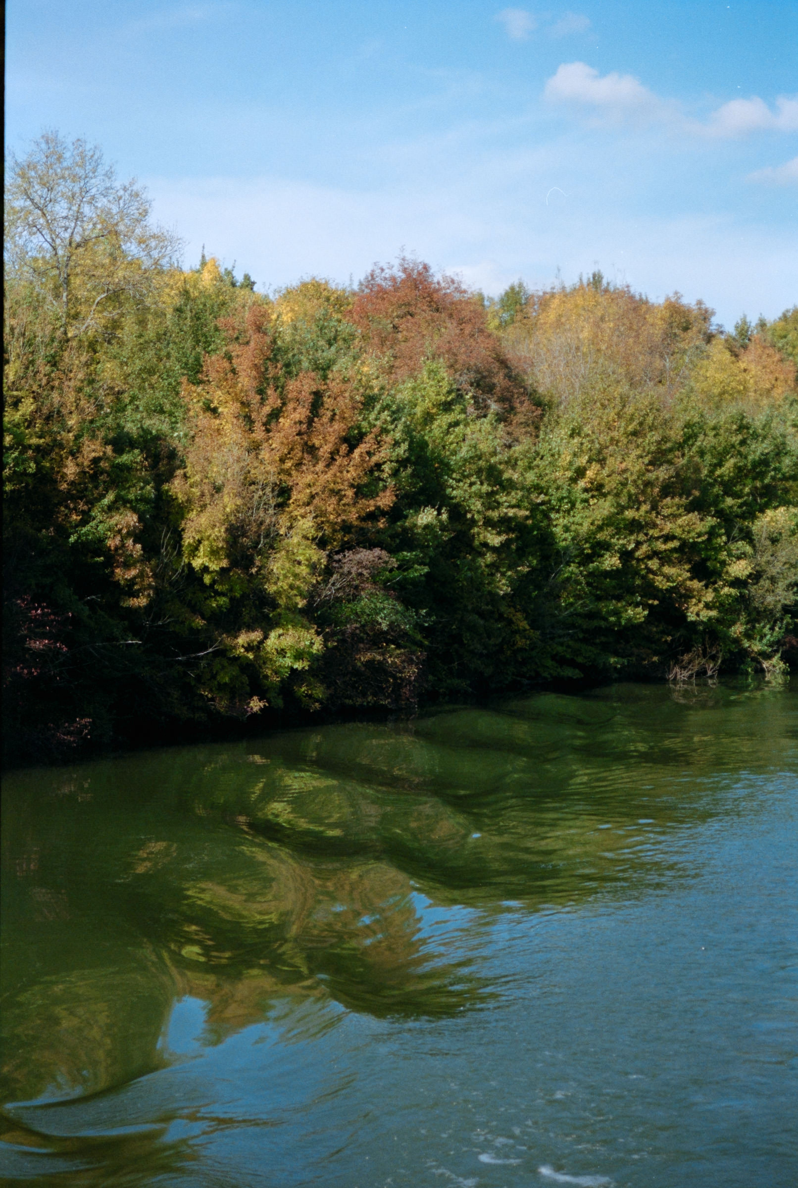 AHP F1990 09 008 sc240829 img19 NLP